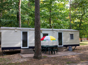 Holiday Home Oostappen Vakantiepark Arnhem-1